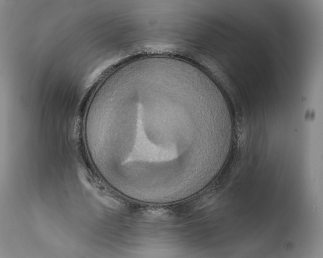 X0000111640583200908071344