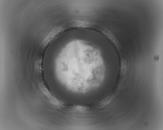 X0000111640585200908071344