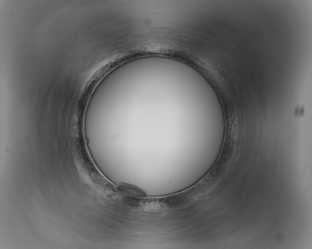 X0000111640587200908071344