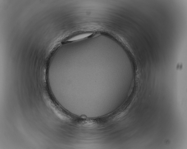 X0000111640589200908071344