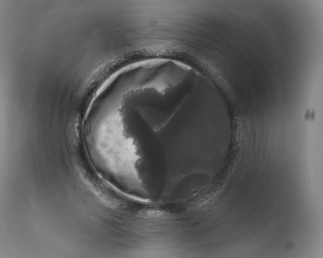 X0000111640590200908071344