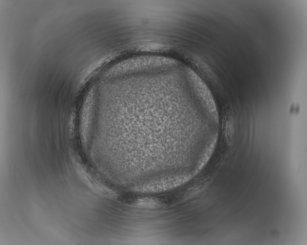 X0000111640591200908071344