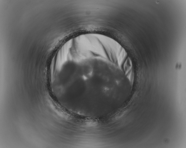 X0000111640592200908071344