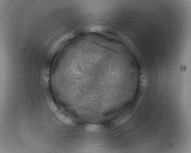 X0000111640593200908071344