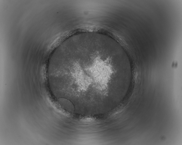 X0000111640594200908071344