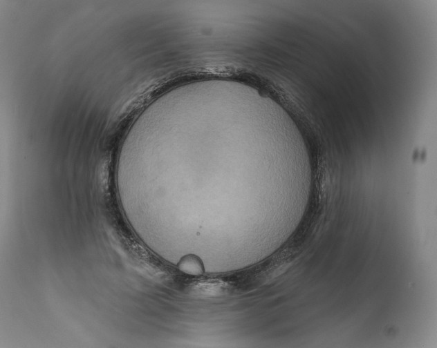 X0000111640595200908071344