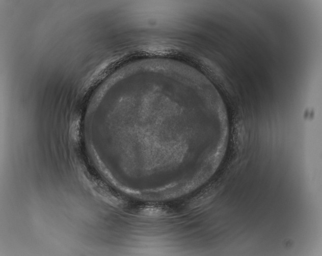 X0000111640596200908071344