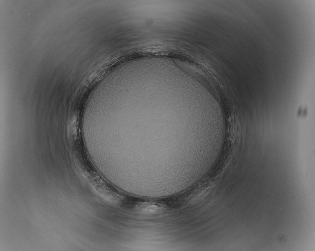 X0000111640597200908071344