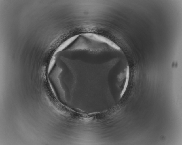 X0000111640598200908071344