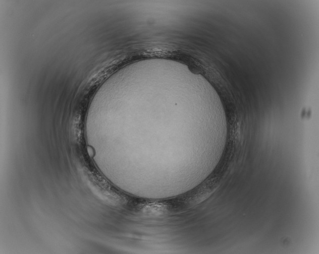 X0000111640599200908071344