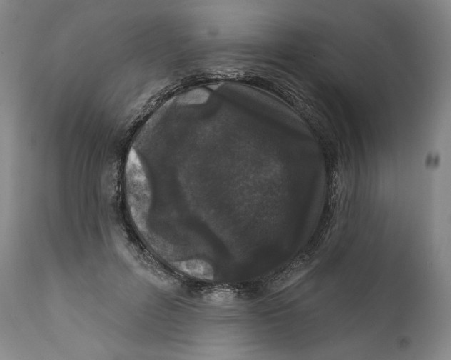 X0000111640600200908071344