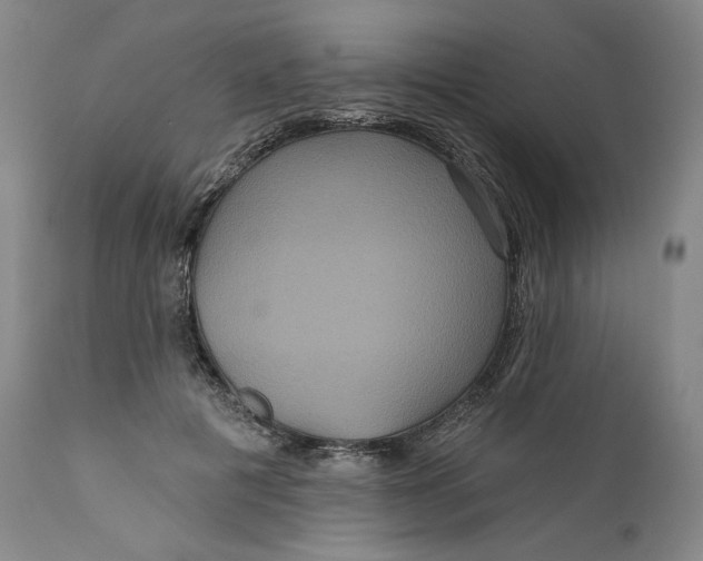 X0000111640601200908071344