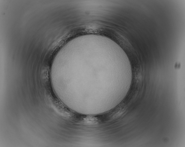 X0000111640603200908071344