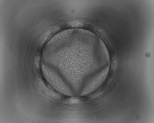 X0000111640604200908071343