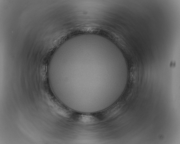 X0000111640605200908071343