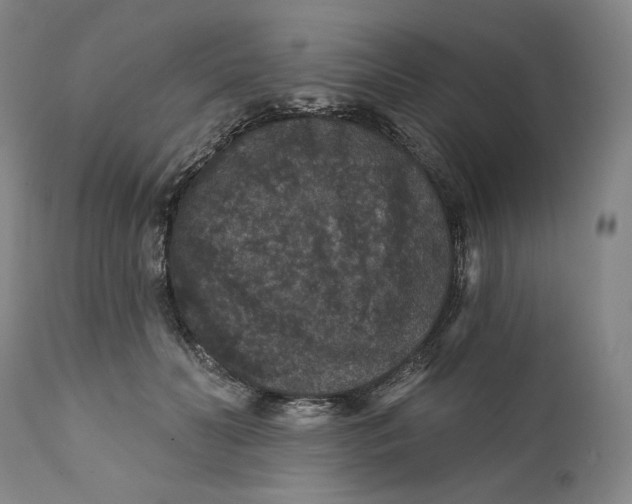 X0000111640606200908071343