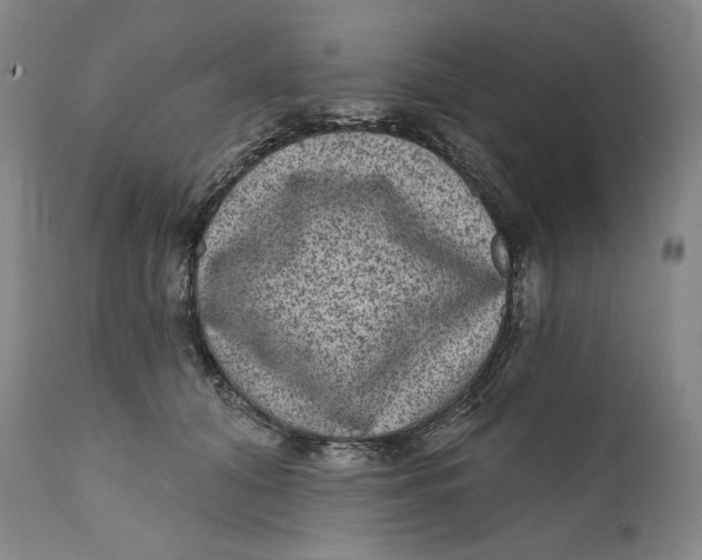 X0000111640608200908071343