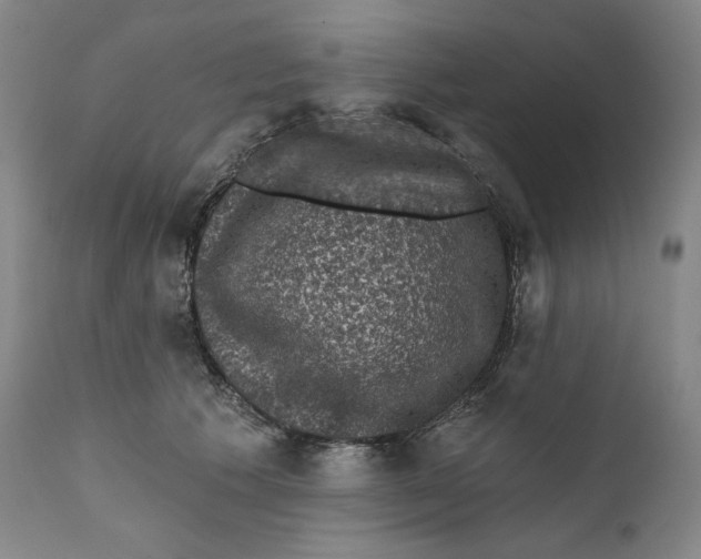 X0000111640609200908071343