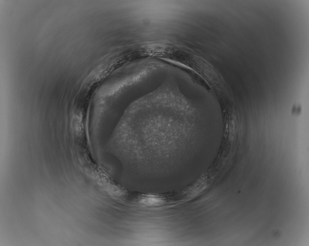 X0000111640610200908071343