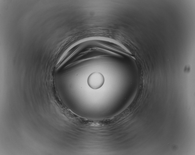 X0000111640611200908071343