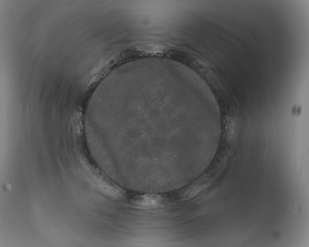 X0000111640612200908071343