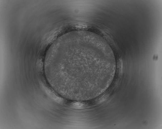 X0000111640614200908071343