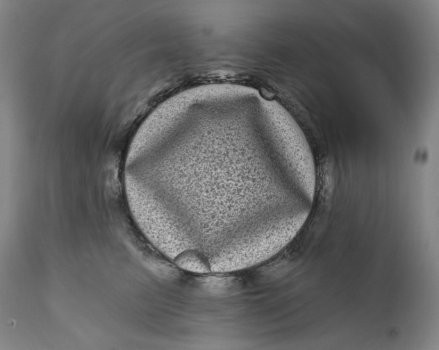 X0000111640615200908071343