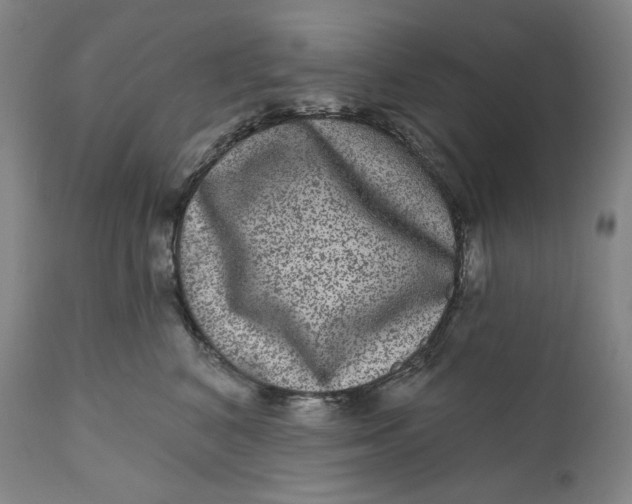 X0000111640616200908071343