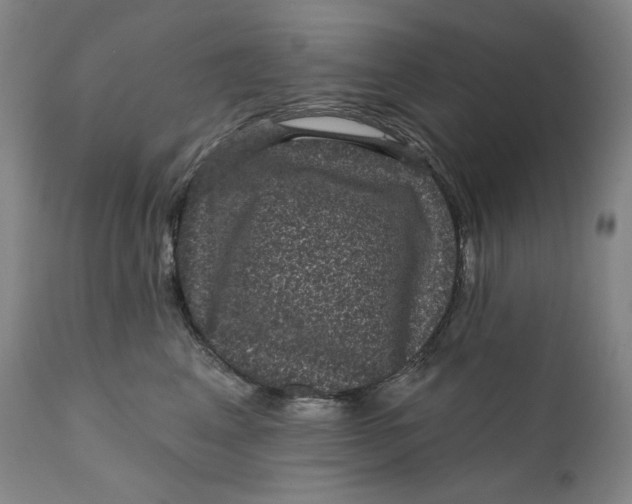 X0000111640617200908071343