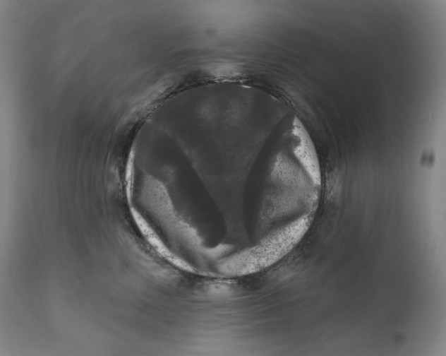 X0000111640618200908071343