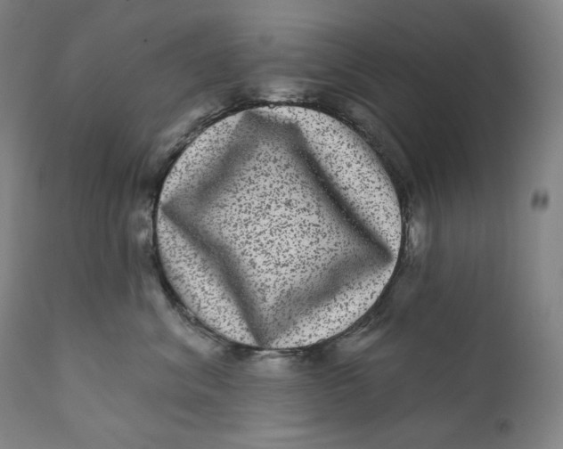 X0000111640620200908071343