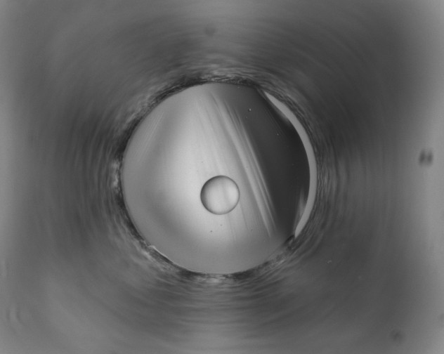 X0000111640621200908071343