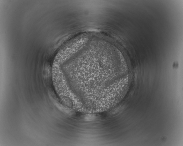 X0000111640623200908071343