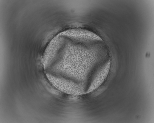 X0000111640624200908071343