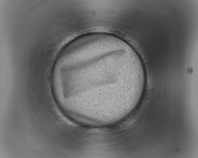 X0000111640625200908071342