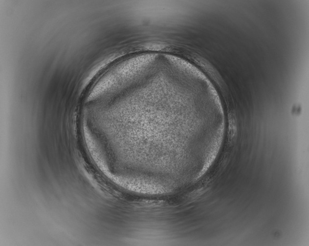 X0000111640626200908071342