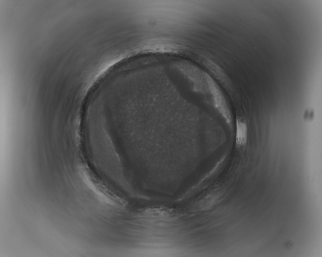 X0000111640627200908071342