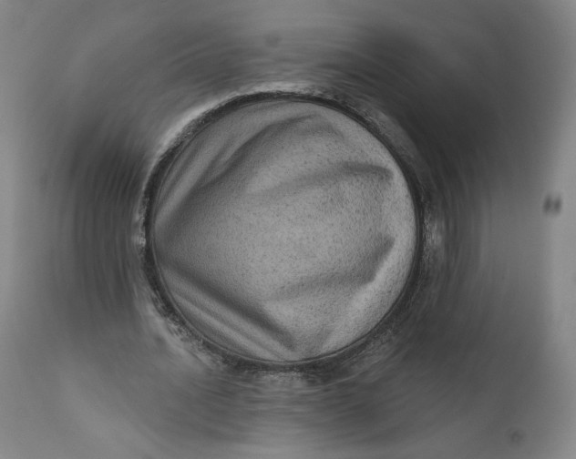 X0000111640628200908071342