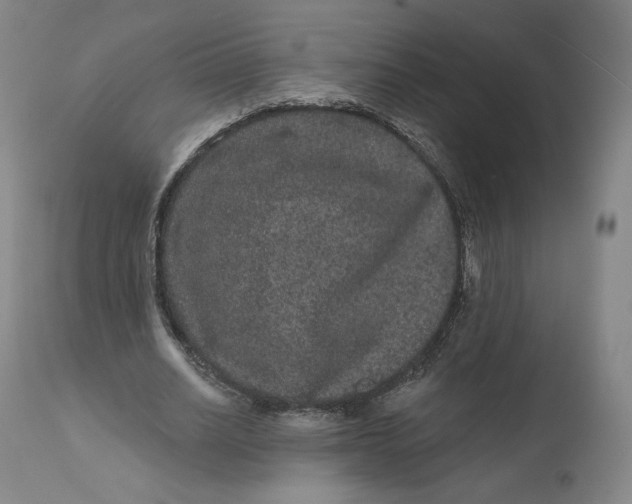 X0000111640630200908071342