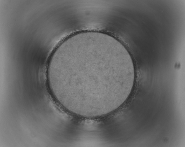 X0000111640632200908071342