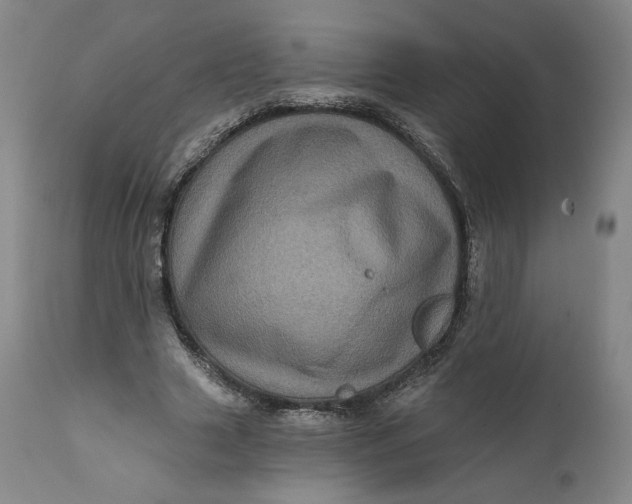 X0000111640633200908071343