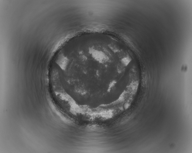 X0000111640634200908071343