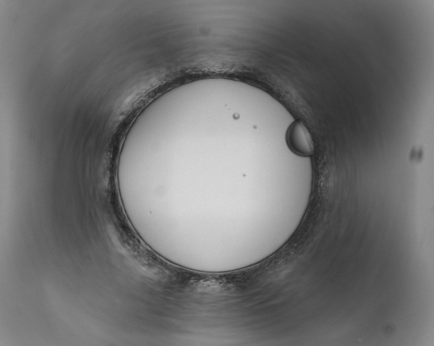 X0000111640635200908071343