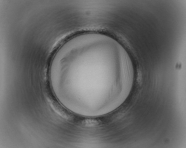 X0000111640636200908071343