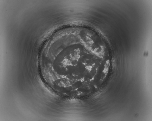 X0000111640637200908071343