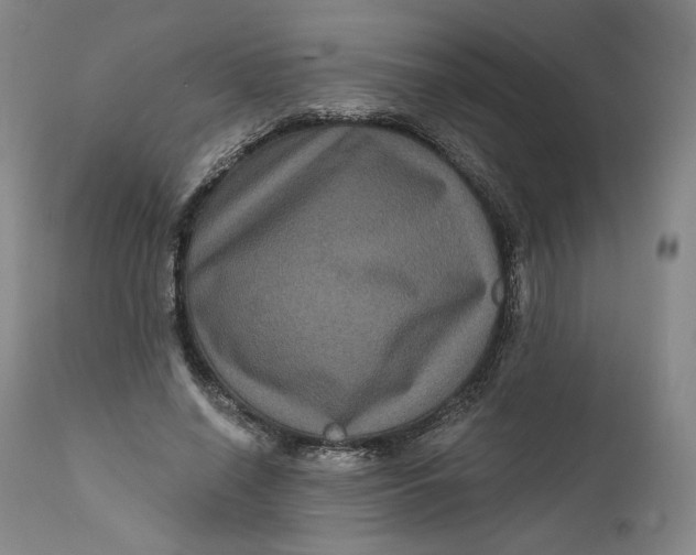 X0000111640638200908071343