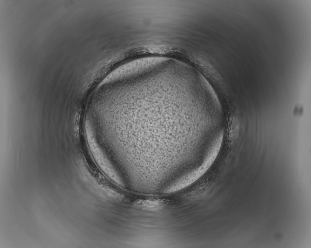 X0000111640639200908071343