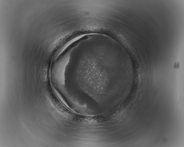 X0000111640640200908071343