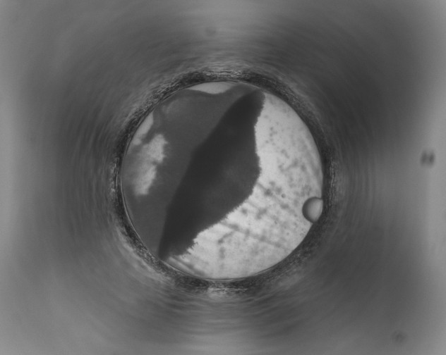 X0000111640641200908071343