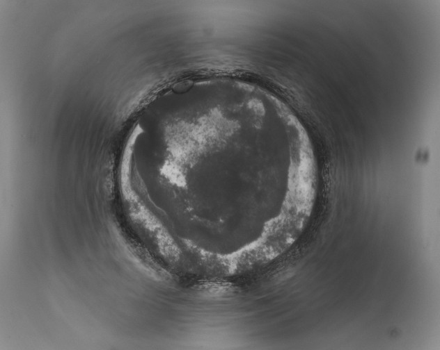 X0000111640642200908071343